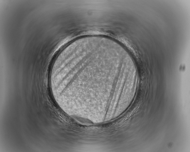 X0000098101173200805021102