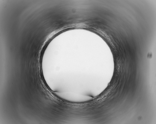 X0000098101176200805021102