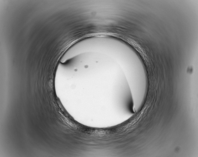 X0000098101177200805021102