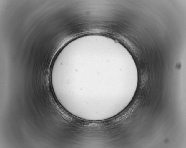 X0000098101178200805021102