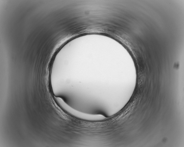 X0000098101179200805021102