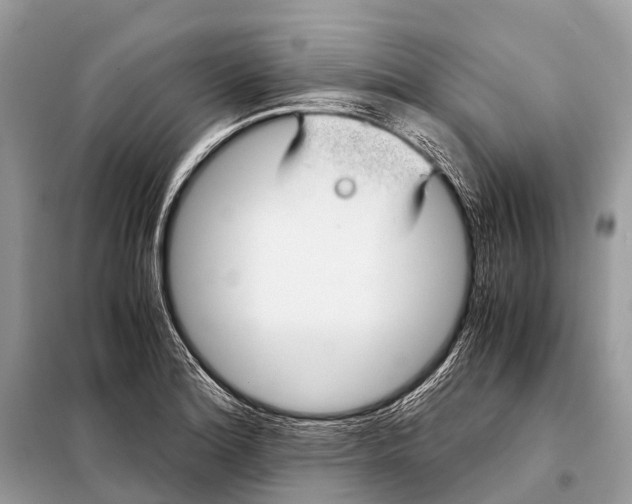 X0000098101180200805021102
