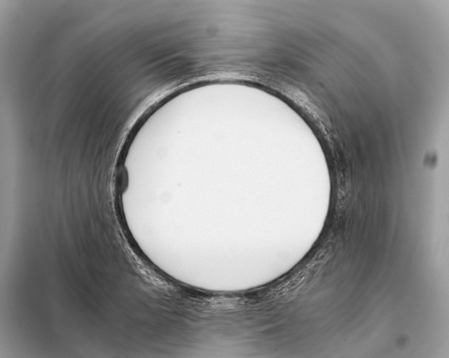 X0000098101181200805021102