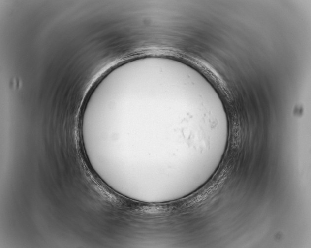 X0000098101182200805021102