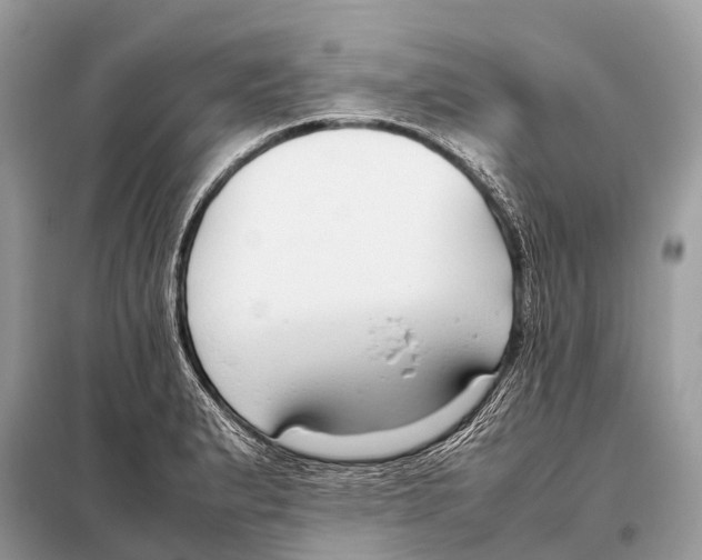 X0000098101183200805021102