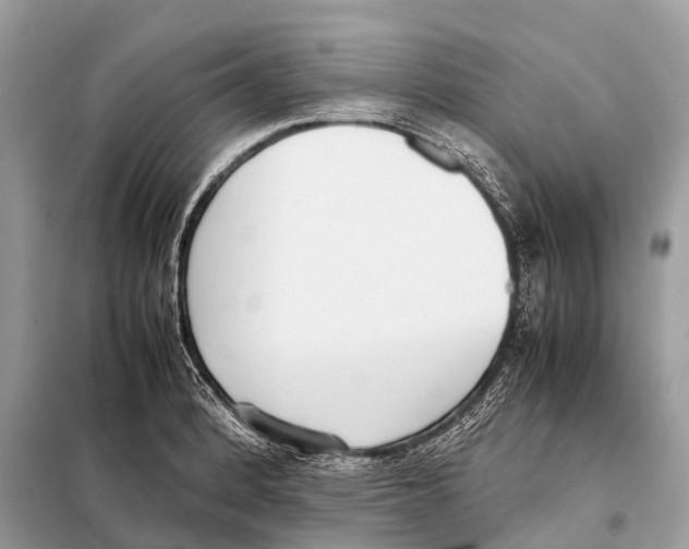 X0000098101184200805021102