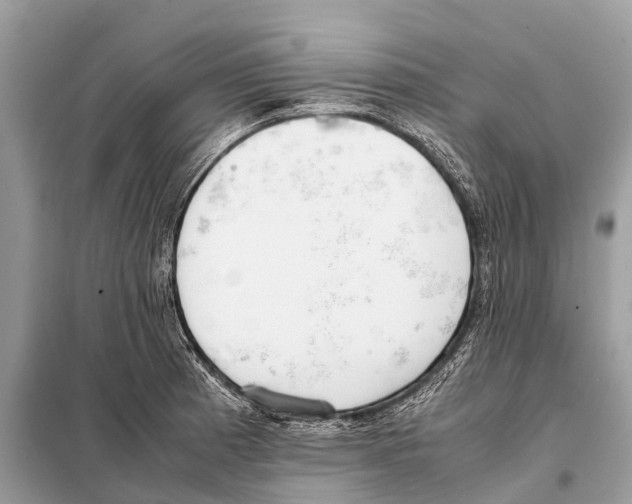 X0000098101185200805021102
