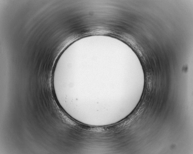 X0000098101186200805021102