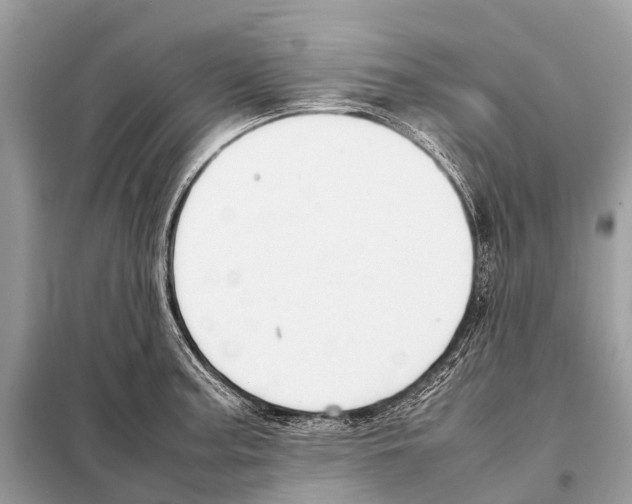 X0000098101187200805021102