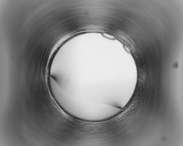 X0000098101188200805021102