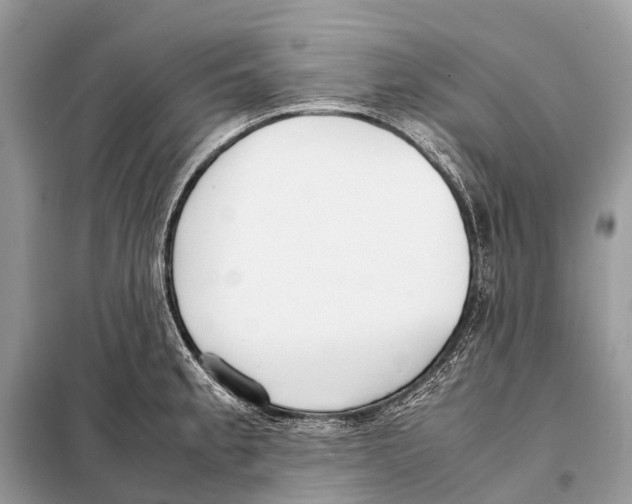 X0000098101189200805021102
