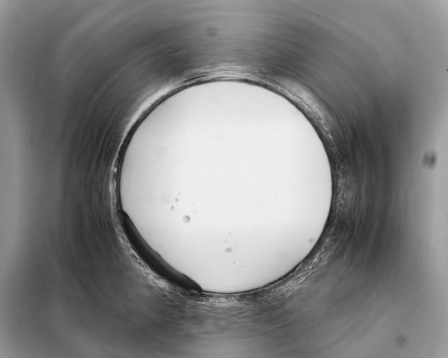 X0000098101190200805021102