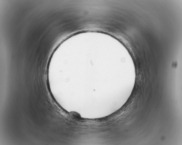 X0000098101191200805021102