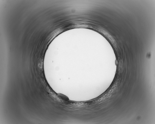 X0000098101193200805021102