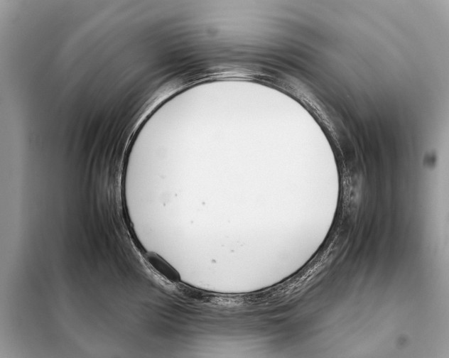 X0000098101194200805021102