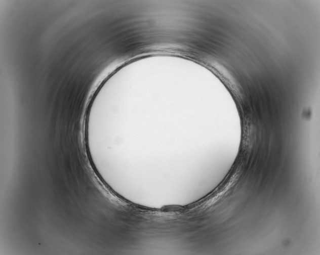 X0000098101196200805021102