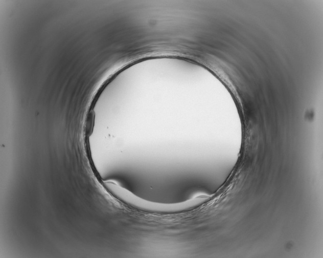 X0000098101197200805021102