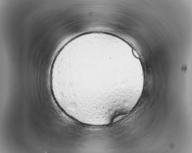 X0000098101199200805021102