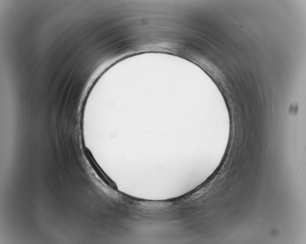 X0000098101200200805021102
