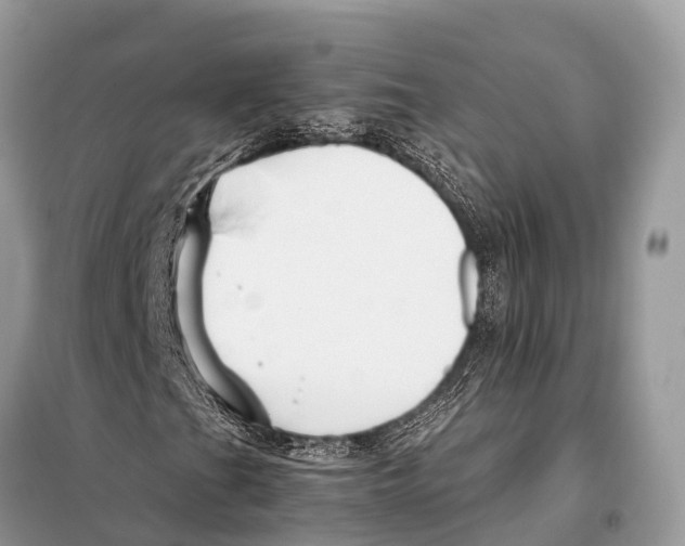 X0000098101201200805021101
