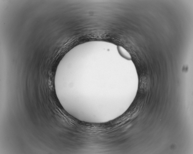 X0000098101202200805021101