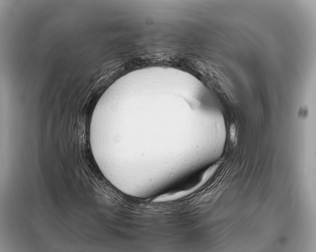 X0000098101203200805021101