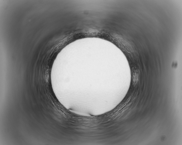 X0000098101204200805021101