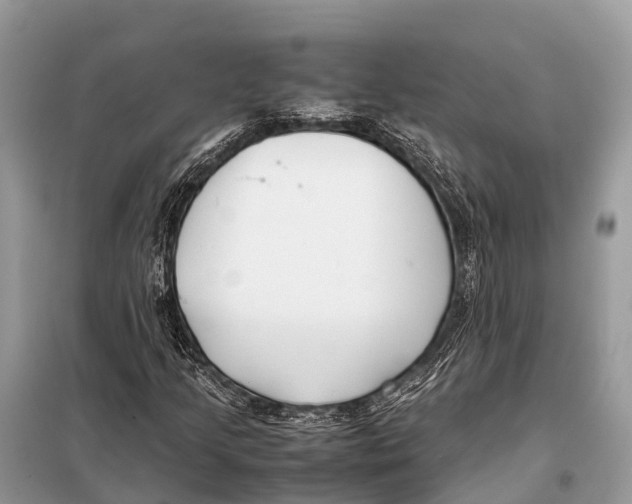 X0000098101205200805021101