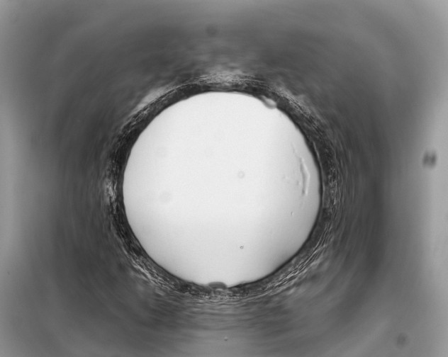 X0000098101206200805021102