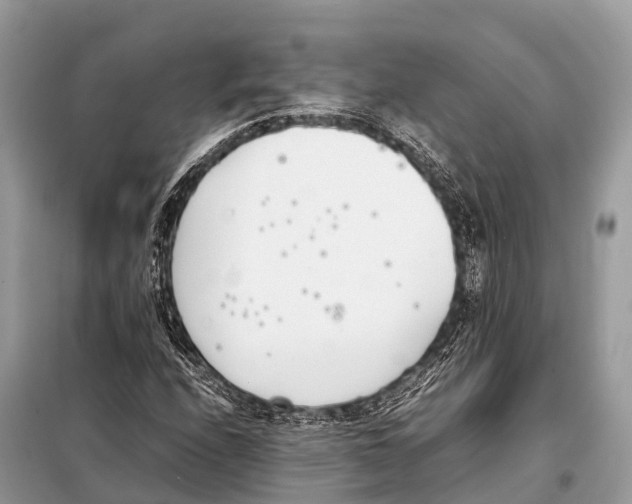 X0000098101208200805021102