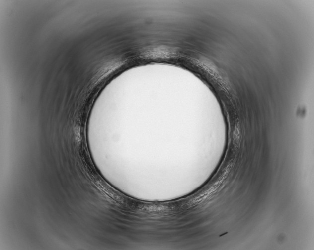 X0000098101209200805021102