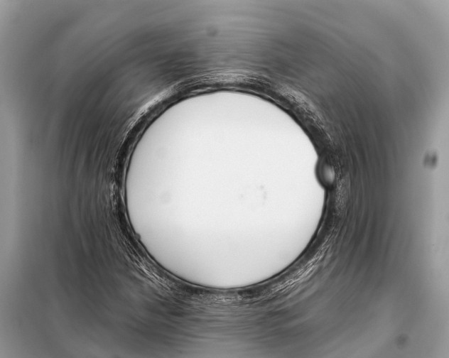 X0000098101210200805021102