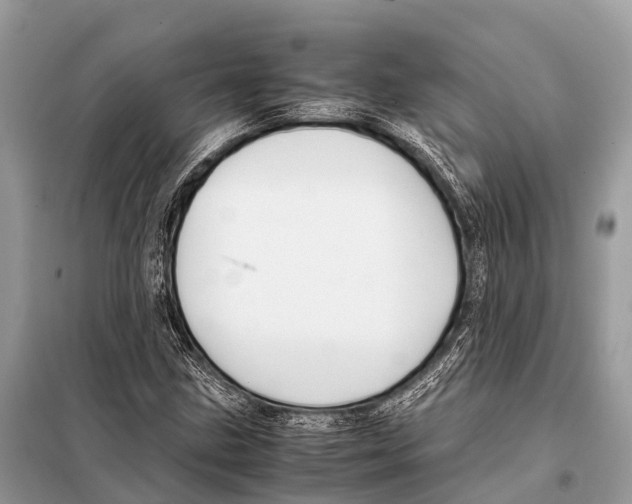 X0000098101211200805021102