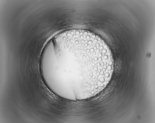 X0000098101212200805021102