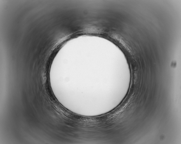 X0000098101213200805021102