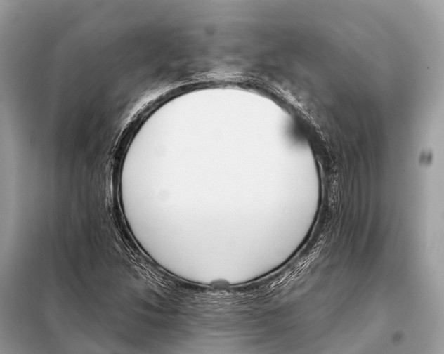 X0000098101214200805021102
