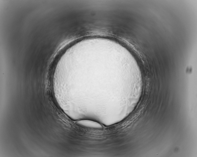 X0000098101215200805021102
