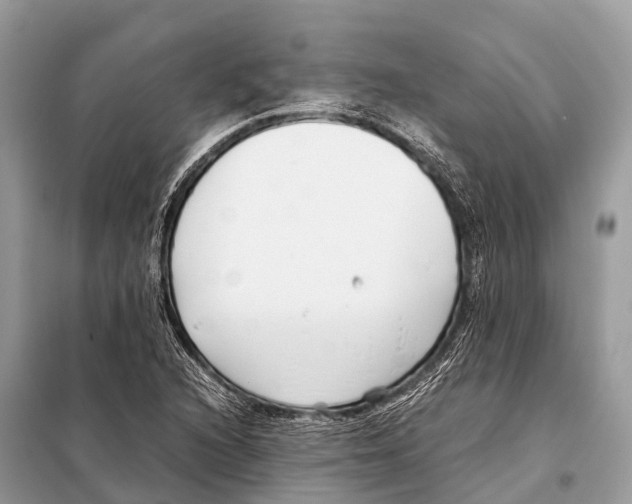 X0000098101216200805021102