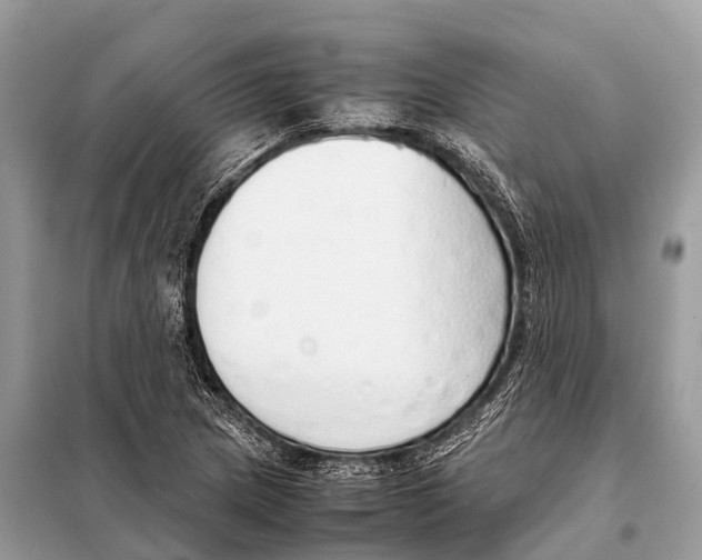 X0000098101217200805021102