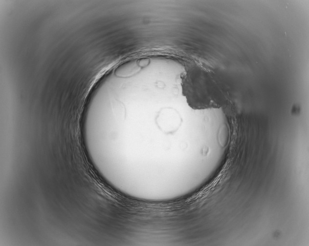 X0000098101218200805021102