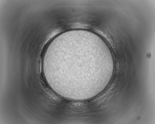 X0000098101219200805021102
