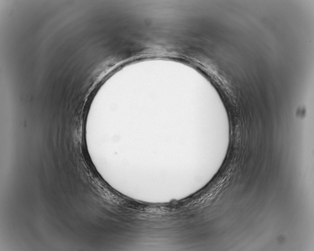 X0000098101220200805021102