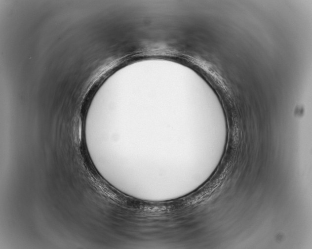 X0000098101221200805021102