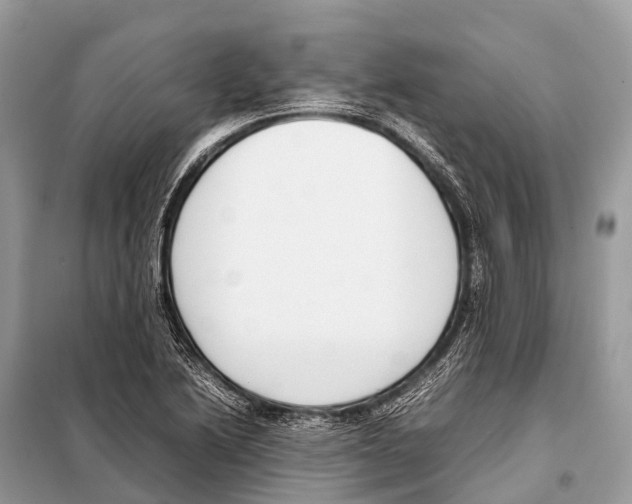 X0000098101222200805021102