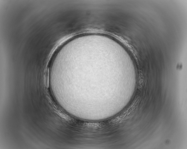 X0000098101223200805021102