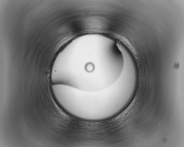 X0000098101225200805021102