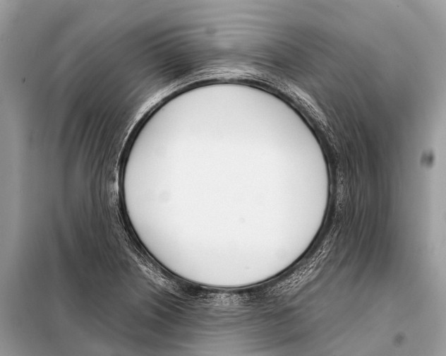 X0000098101226200805021102