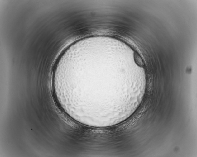 X0000098101227200805021102