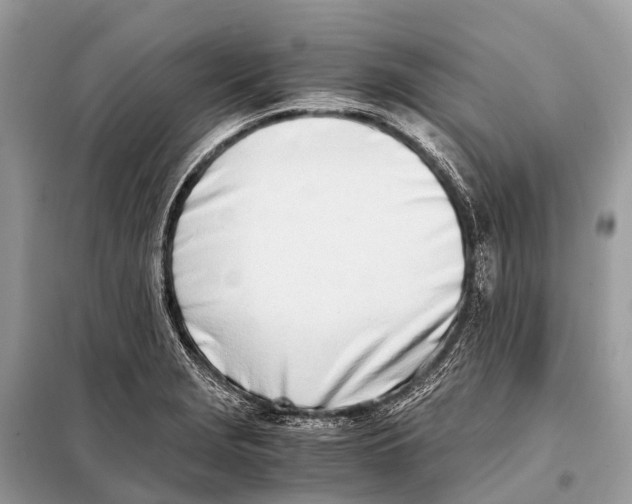 X0000098101229200805021102