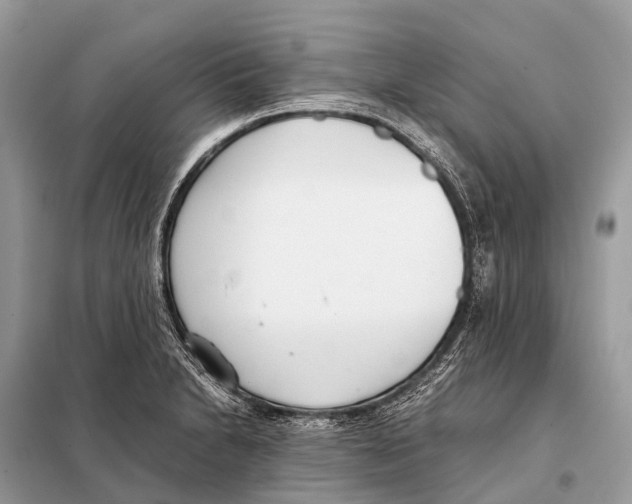 X0000098101230200805021102
